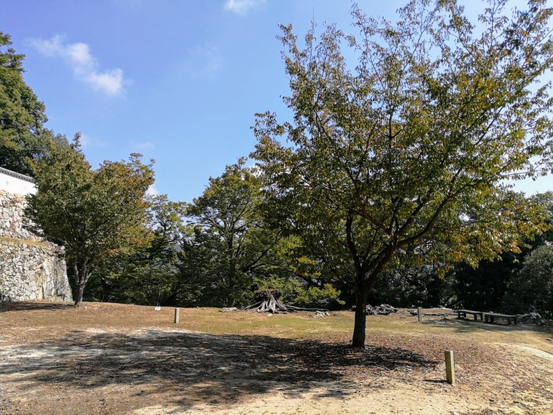 19三の丸跡.jpg 19三の丸跡