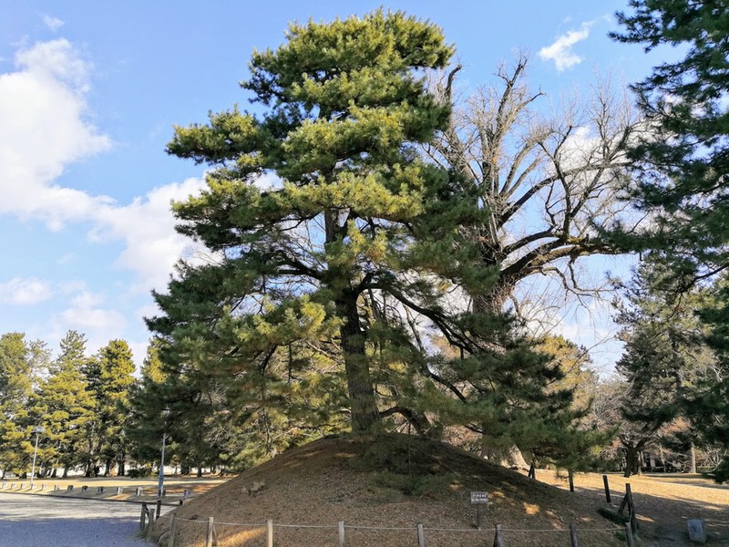 14凝華洞跡.jpg 14凝華洞跡