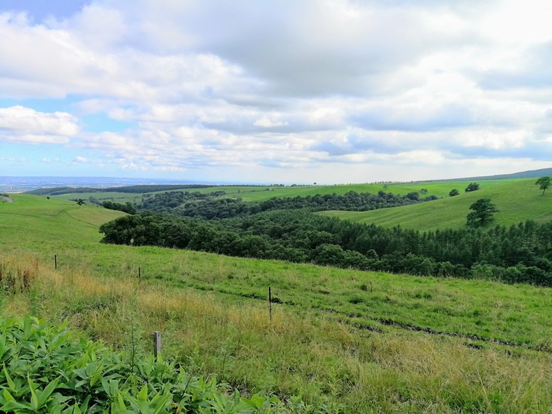 09ナイタイ高原牧場.jpg 09ナイタイ高原牧場