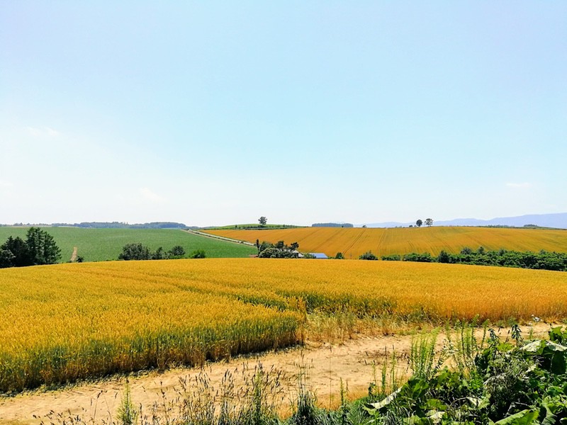 05その周辺.jpg 05その周辺