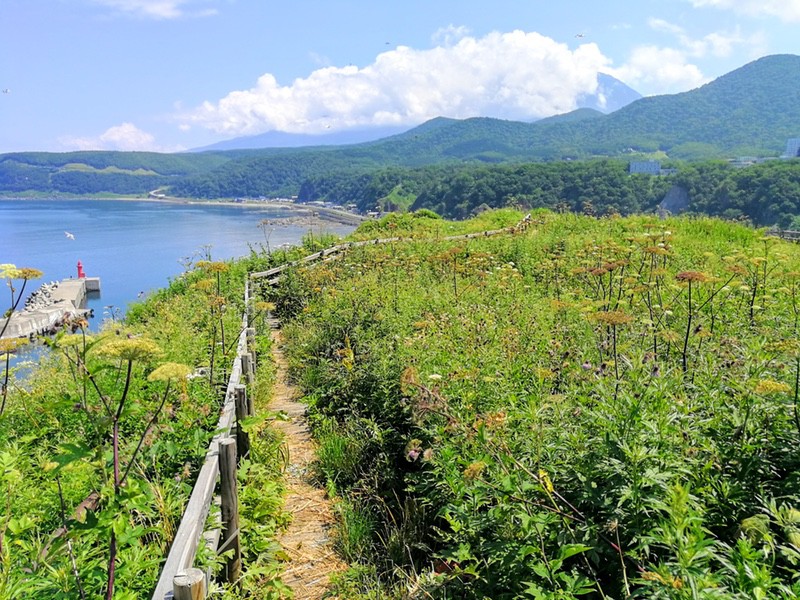 08岩の上.jpg 08岩の上