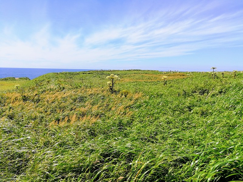 07スコトン岬方面.jpg 07スコトン岬方面