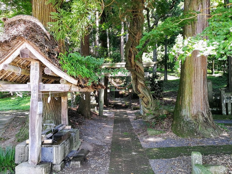 09参道