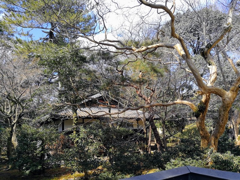 19中山邸跡.jpg 19中山邸跡