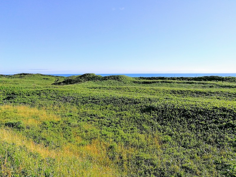 10利尻礼文サロベツ国立公園