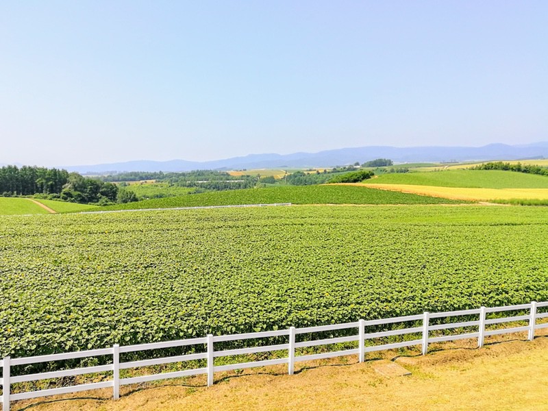 09新栄の丘.jpg 09新栄の丘