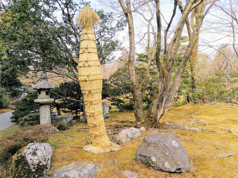 27蘇鉄山付近.jpg 27蘇鉄山付近