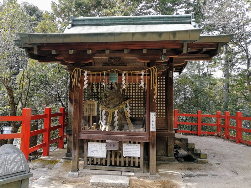 14一乗寺下り松古木.jpg 14一乗寺下り松古木