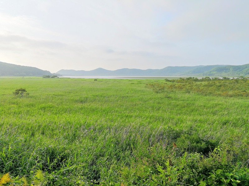 19達古武沼.jpg 19達古武沼