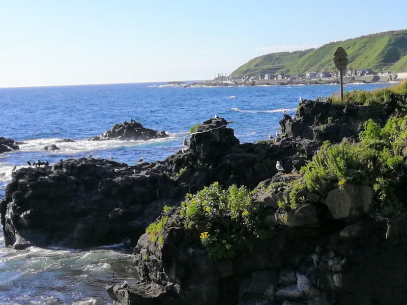 利尻島の風景14人面岩.jpg 利尻島の風景14人面岩