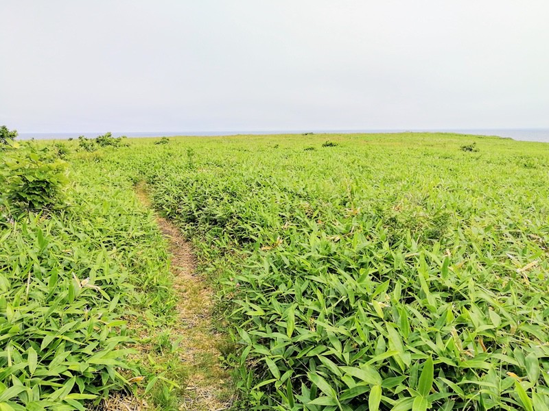 03草原.jpg 03草原