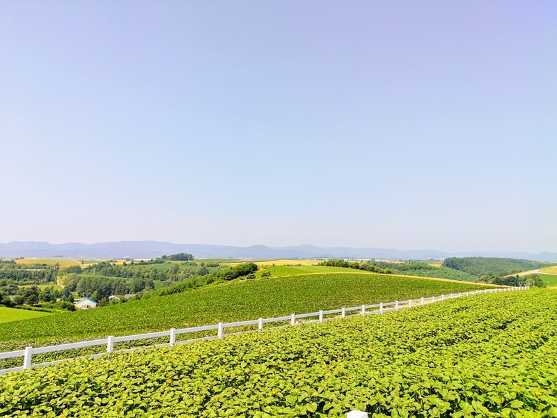 06新栄の丘.jpg 06新栄の丘