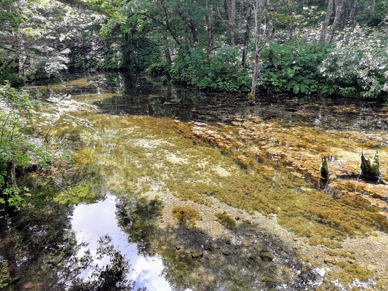 02神の子池手前