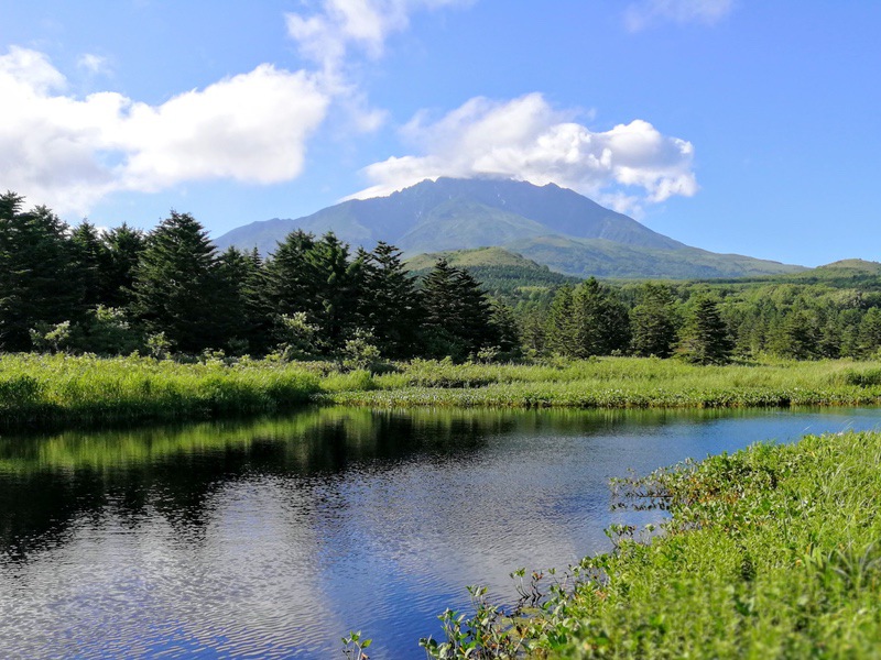利尻島の風景11南浜湿原.jpg 利尻島の風景11南浜湿原