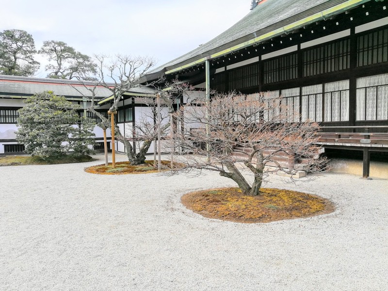 10南庭(松竹梅の庭).jpg 10南庭 松竹梅の庭