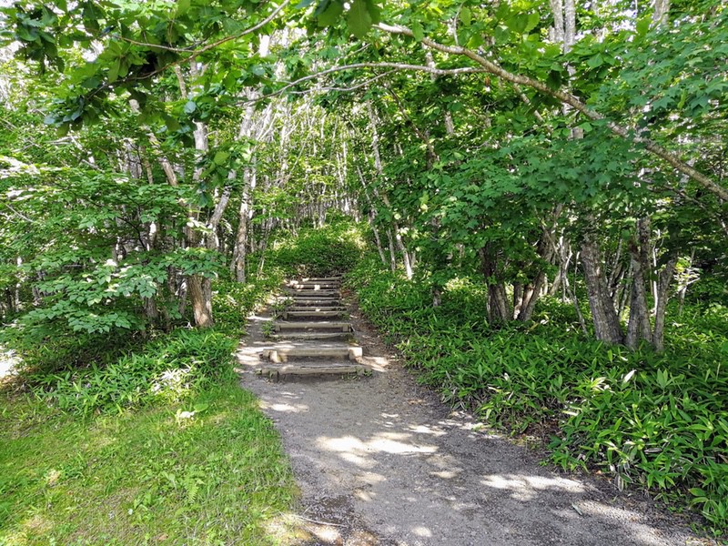 03歩道.jpg 03歩道