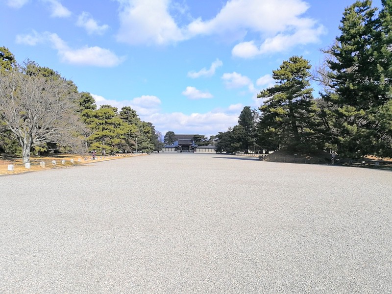 13京都御苑内.jpg 13京都御苑内