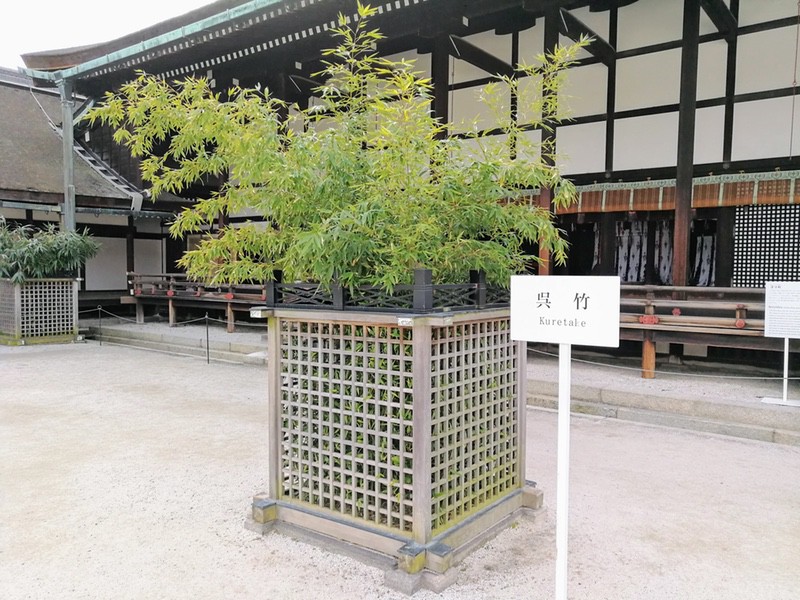 27呉竹.jpg 27呉竹