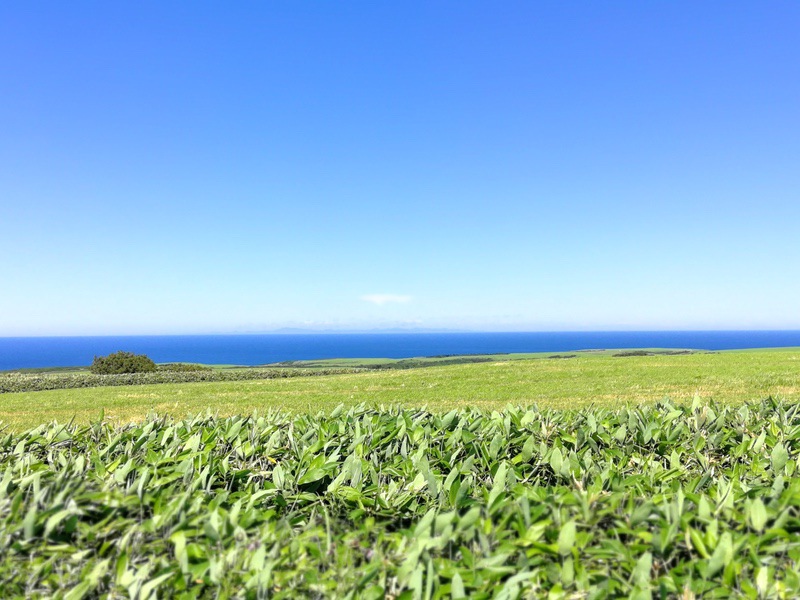 04宗谷丘陵 樺太