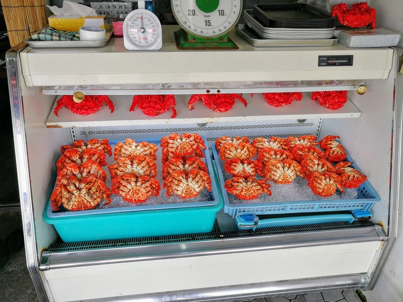 02ショーケース.jpg 02ショーケース