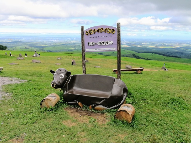 13ナイタイ高原牧場.jpg 13ナイタイ高原牧場