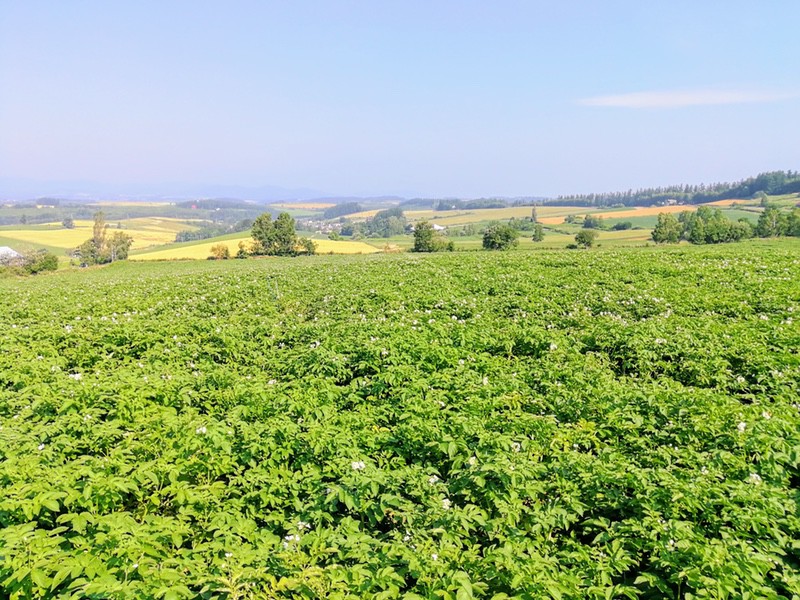 05三愛の丘.jpg 05三愛の丘