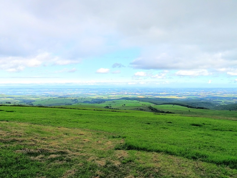 21ナイタイ高原牧場.jpg 21ナイタイ高原牧場