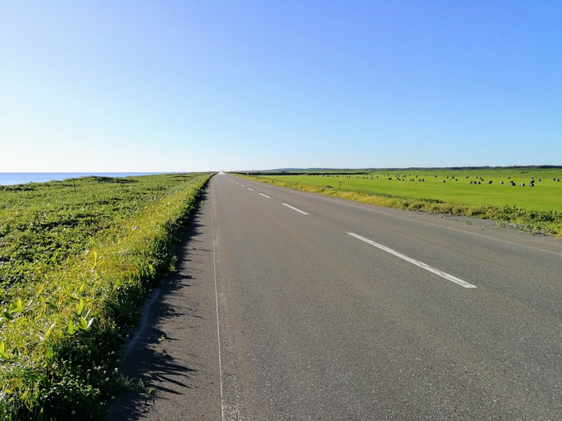 18オロロンライン