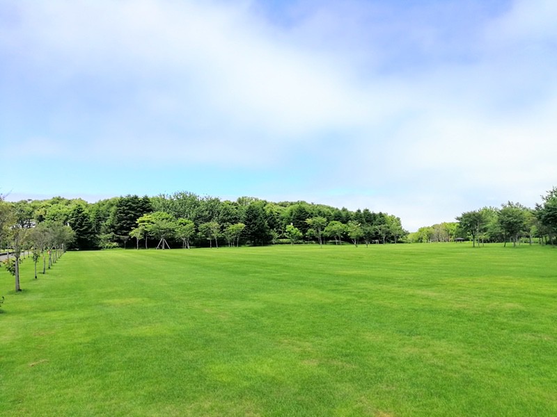 10芝生広場.jpg 10芝生広場