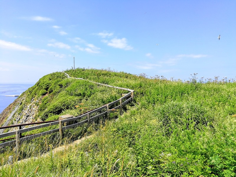 11岩の上.jpg 11岩の上