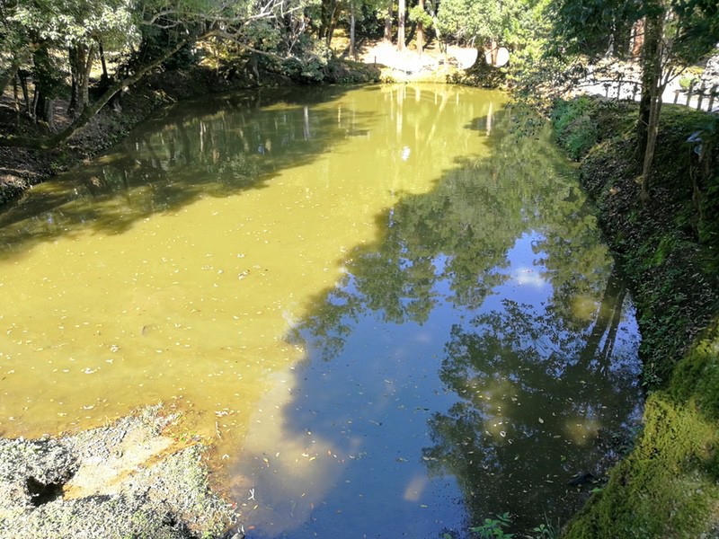 29馬洗池.jpg 29馬洗池