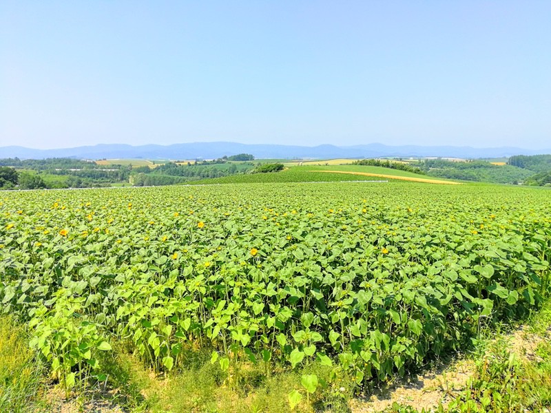 07新栄の丘.jpg 07新栄の丘