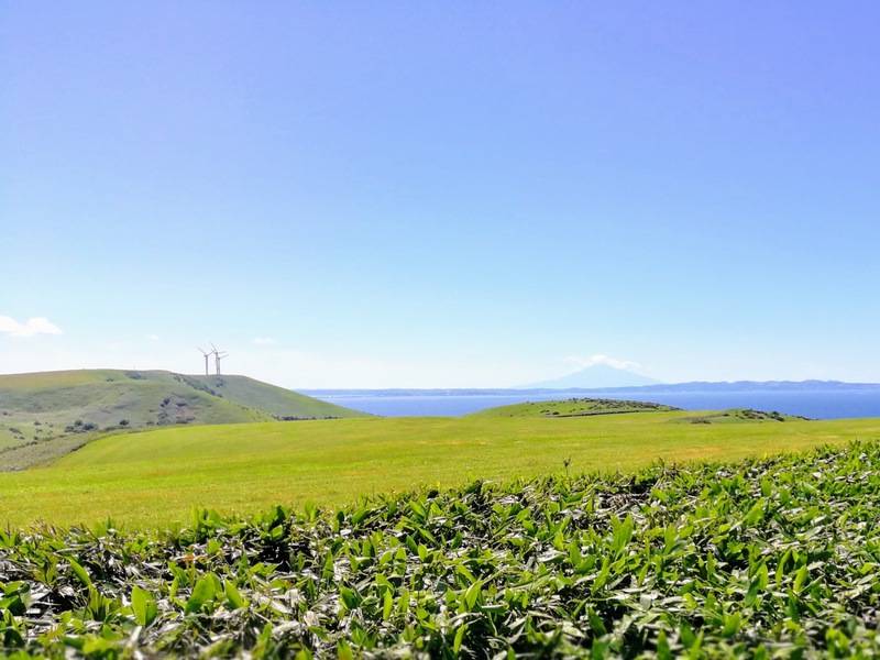 06宗谷丘陵 利尻富士