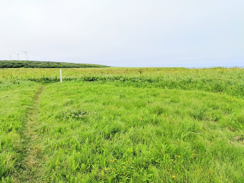 10ノツカマフ1・2号チャシ跡.jpg 10ノツカマフ1 2号チャシ跡