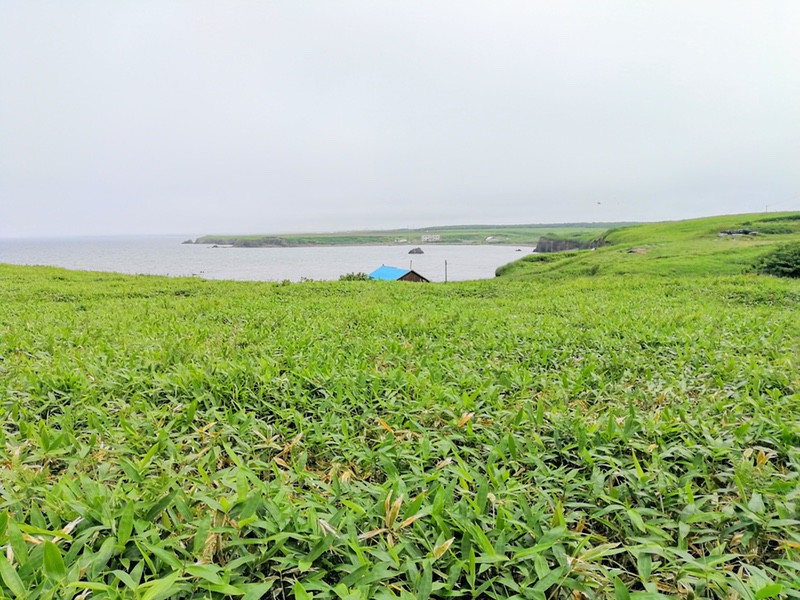 02海岸.jpg 02海岸