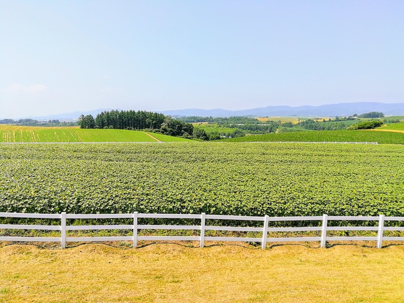 08新栄の丘.jpg 08新栄の丘