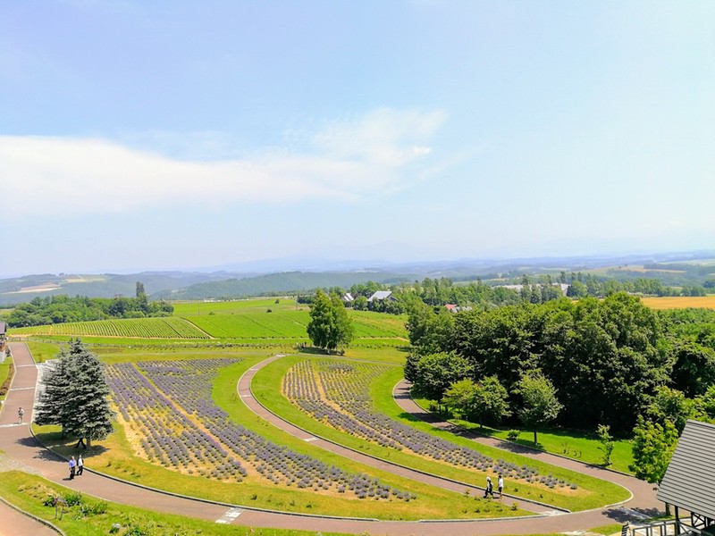 03展望台から.jpg 03展望台から