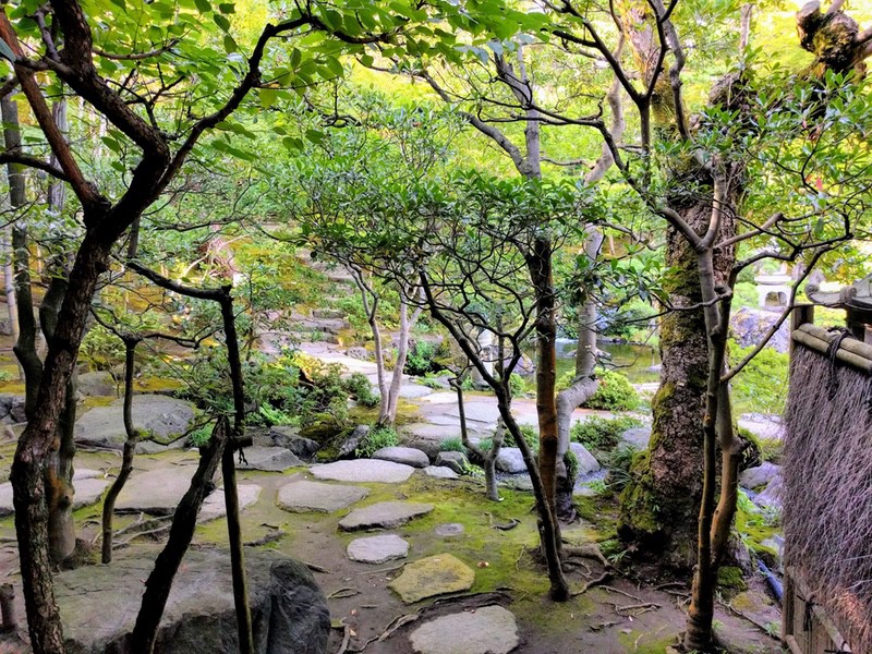 四畳半茶室から