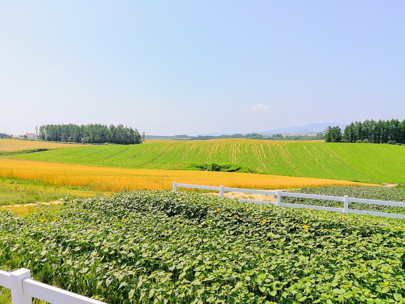 04新栄の丘.jpg 04新栄の丘