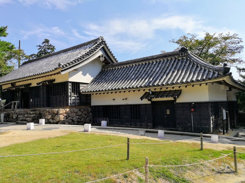 20本丸.jpg 20本丸