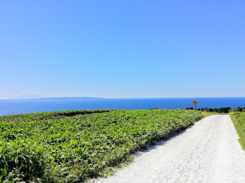 05宗谷丘陵 利尻富士