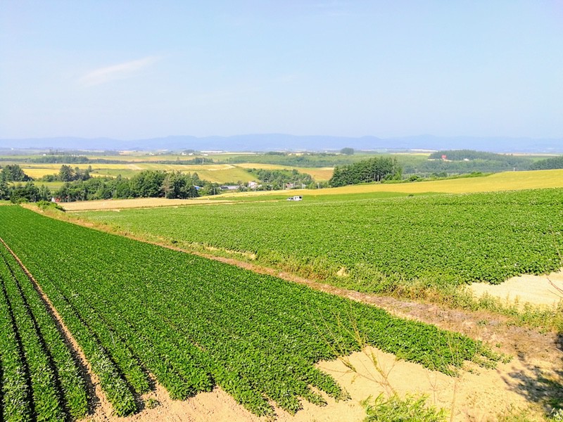 03三愛の丘.jpg 03三愛の丘