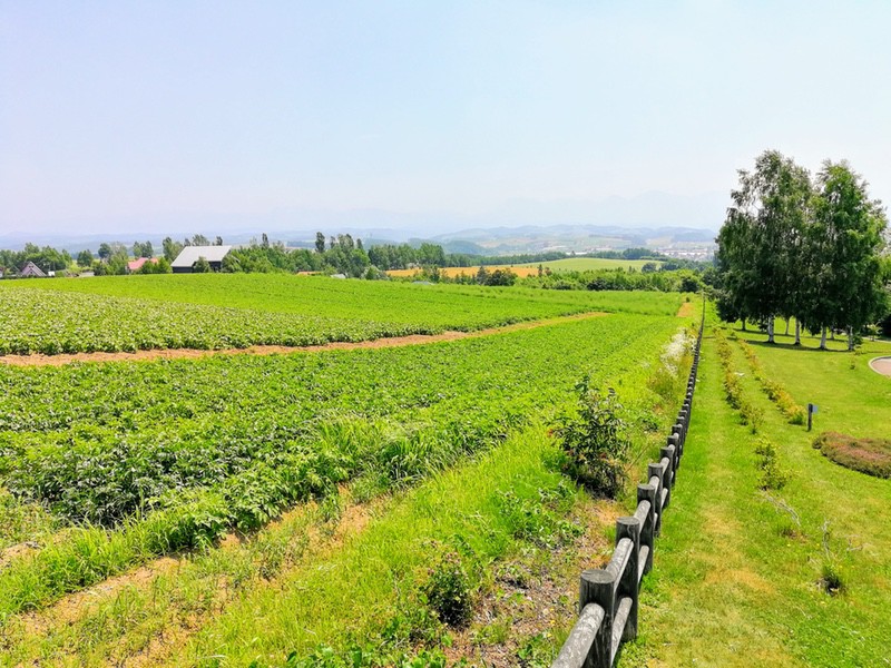 02北西の丘.jpg 02北西の丘