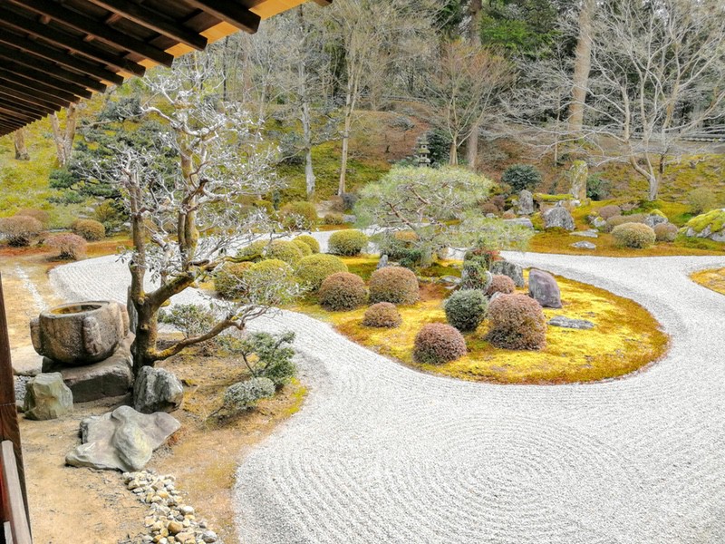 11庭園.jpg 11庭園