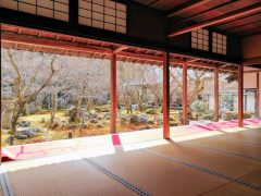 徳川家康の建立！学校だった圓光寺｜京都市左京区