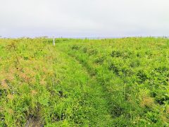 アイヌ民族の聖地！ノツカマフチャシ跡｜北海道根室市
