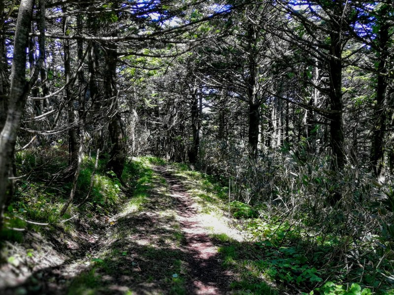 26澄海岬-昼食ポイント間.jpg 26澄海岬 昼食ポイント間