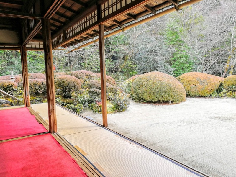 11部屋から庭.jpg 11部屋から庭