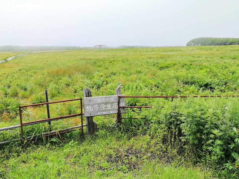 02北方原生花園.jpg 02北方原生花園