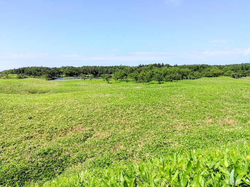 06連山展望台から